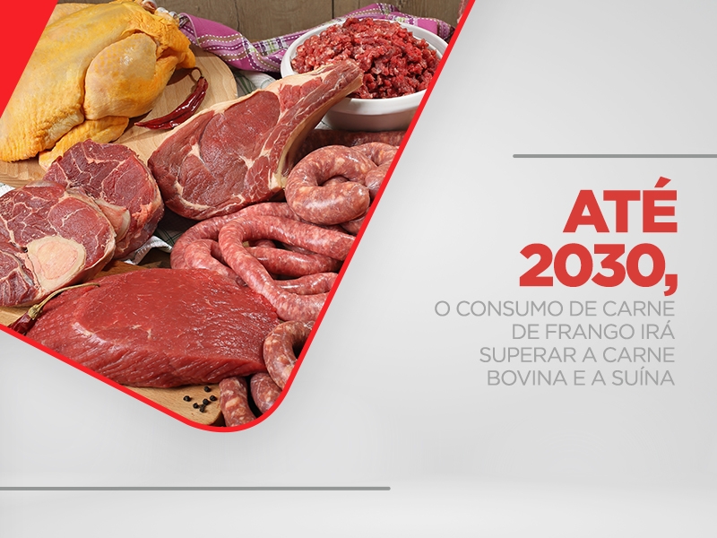 Moela de frango é barata e boa substituta da carne bovina; veja benefícios  - 26/05/2022 - UOL VivaBem