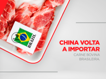 China volta a importar carne bovina brasileira