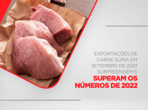 Exportações de Carne Suína em Setembro de 2023 Surpreendem e Superam os Números de 2022