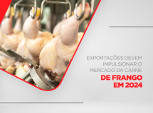 Exportações devem impulsionar o mercado da carne de frango em 2024